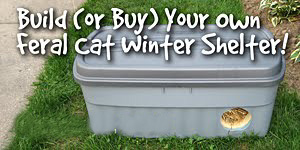 feral cat winter shelters for sale