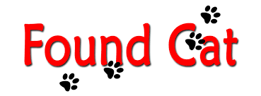 foundcat