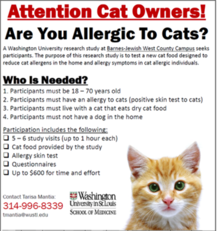 Can Cat Food Help People who are Allergic to Cats Stray Haven