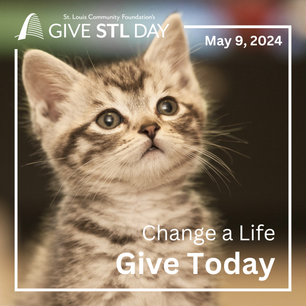 Give STL Day 2024 12